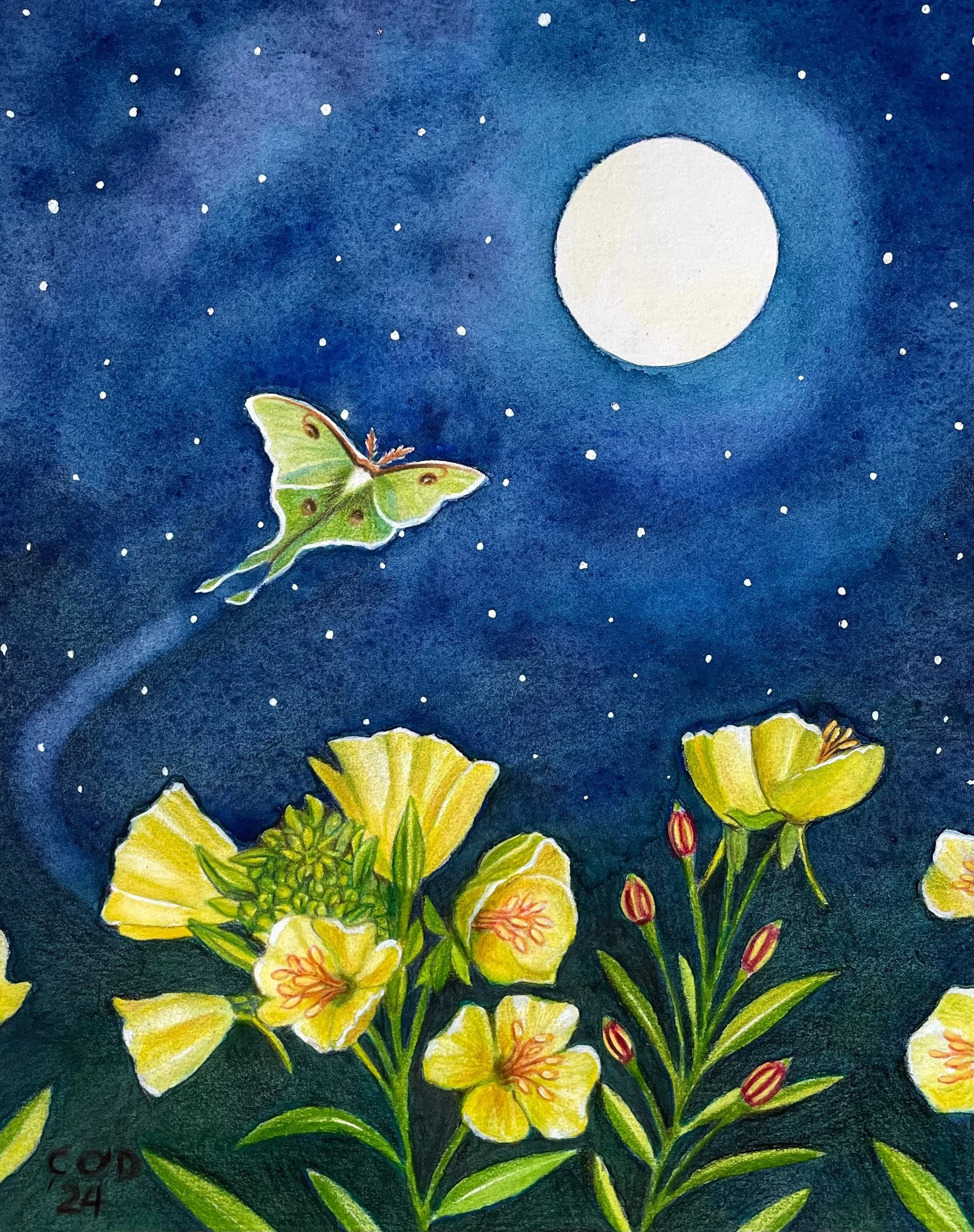 Gallery Image (325d6016a4c0)